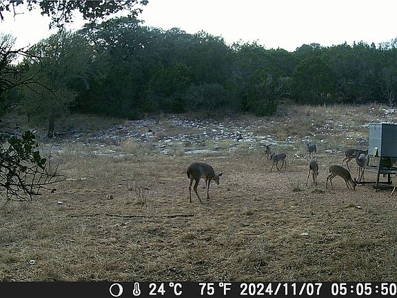 4th image of 1595 N Ridge St