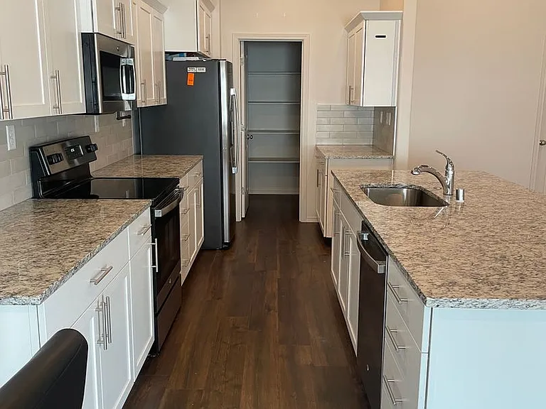 4248 Bufflehead — Photo 1