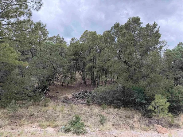 201 Chresta Loma Dr, Timberon, NM 88350