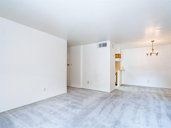 Living and Dining room combo. Plush carpeting.