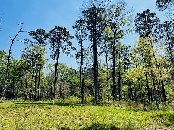 2nd image of 155 Crowell Ln