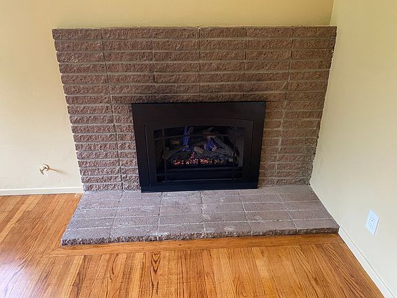 Gas fireplace insert with fan and thermostat.