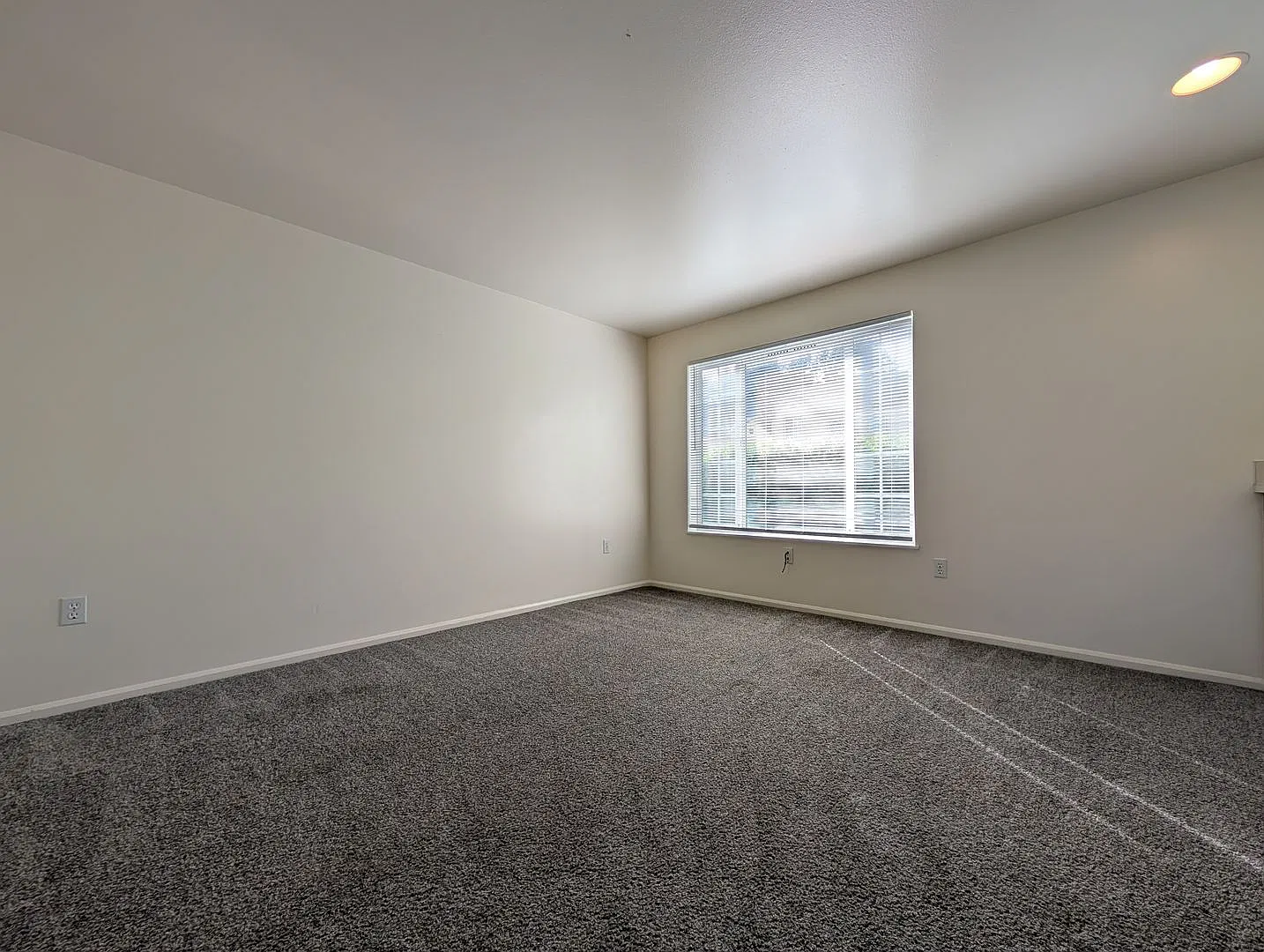 2159 Bailey Hill Rd — Photo 4