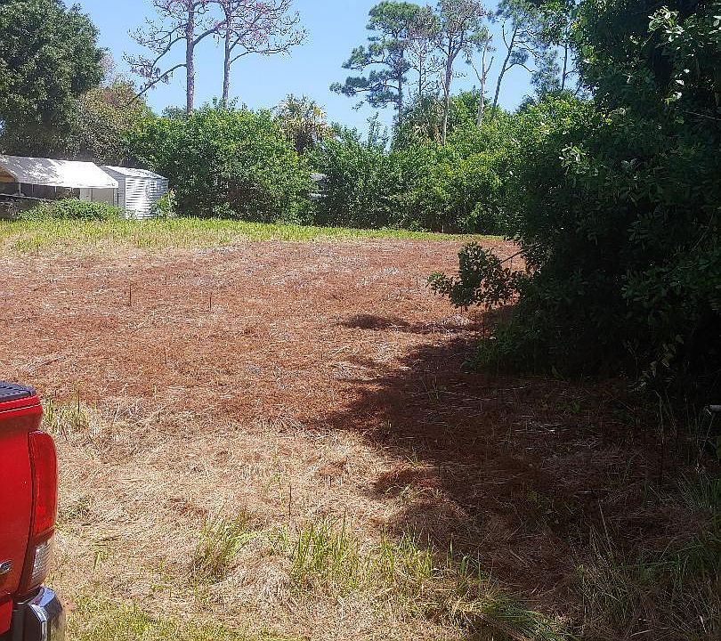 2nd image of Xxx Palm Drive