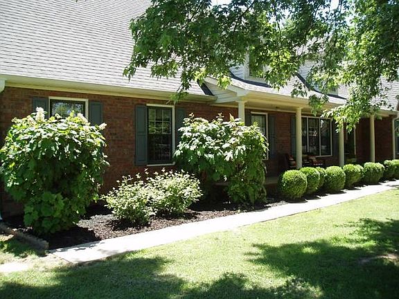 5th image of 113 Juniper Dr