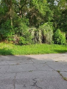 2288 W Eden Ct #11, Dunnellon, FL, 34434