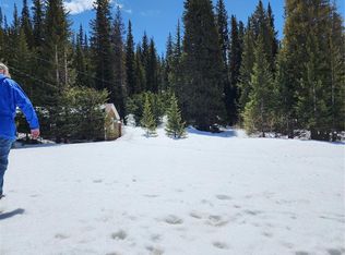 Montezuma Rd LOT 1, Dillon, CO 80435