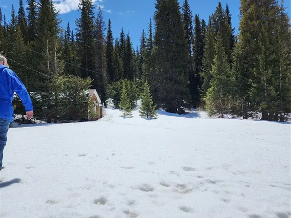 Montezuma Drive LOT 1 and 2, Montezuma, CO 80435