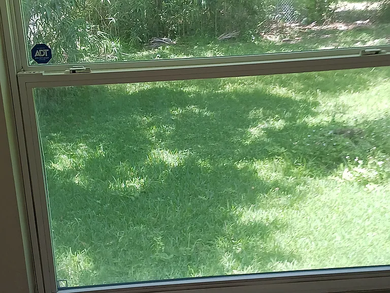 Main bedroom window overlooking fenced backyard