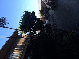 5th image of 3620 Georgia St APT 3