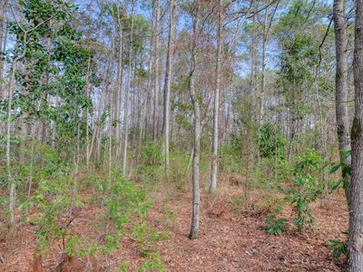 0 Picadilly Loop, Summerville, SC, 29483