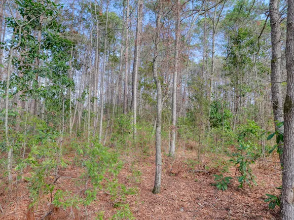 0 Picadilly Loop, Summerville, SC 29483