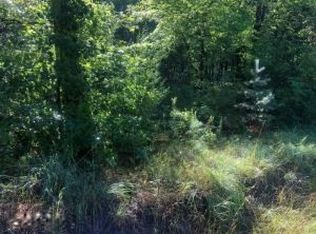 Staple Rd #2, Twin Lake, MI 49457