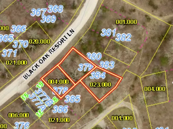 000 Black Oak Resort Lane, Lampe, MO 65681