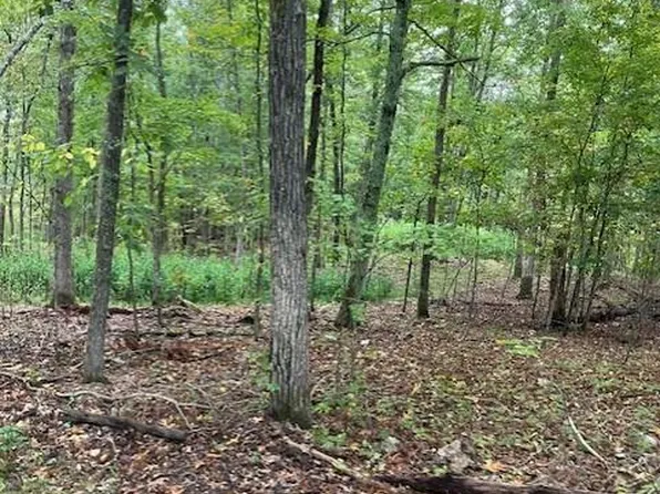 99 Madison St #410, Fredericktown, MO 63645