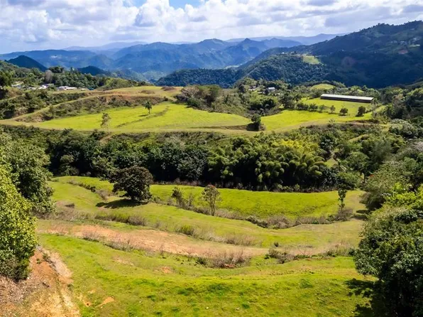 Road 152 Camino Las Orquideas Rd, Barranquitas, PR 00794