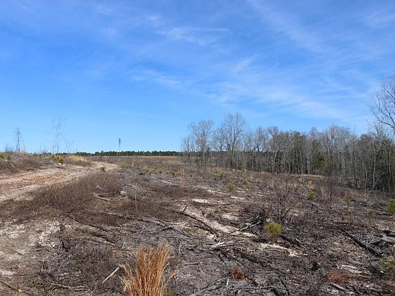 4th image of Cliff Rd
