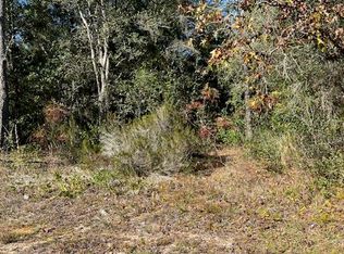 210 1st Way, Interlachen, FL 32148