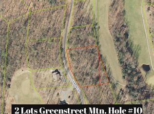 133 View Point Dr, Traphill, NC 28685