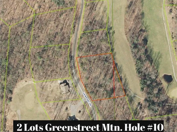 133 View Point Dr, Traphill, NC 28685
