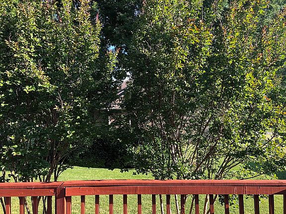 Out back deck