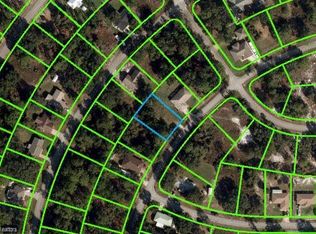 914 Amaranth St, Lake Placid, FL 33852