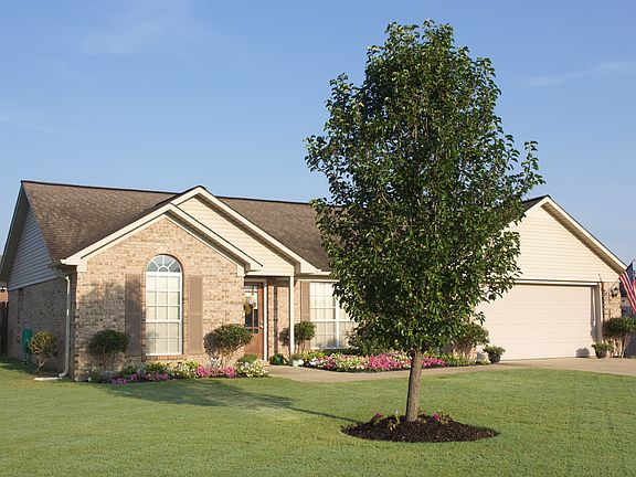 View of Front of House (1)