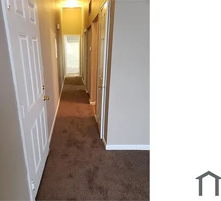 2 bed, $850 — Photo 3