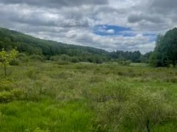 2560 Meshoppen Creek Rd, Montrose, PA 18801
