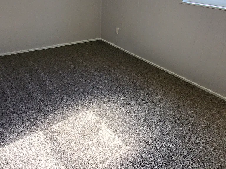 1115 Nofftz Dr — Photo 10