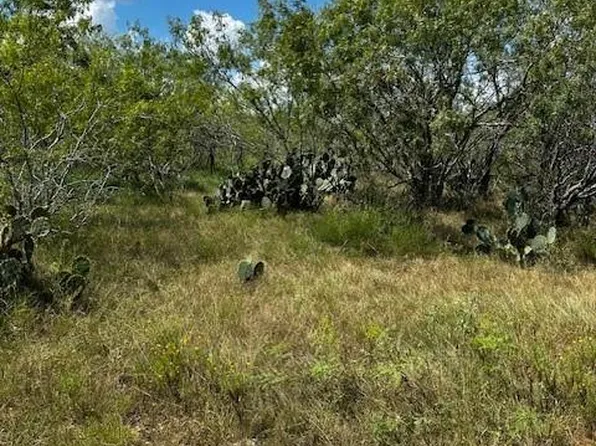 2 County Road 420, Waelder, TX 78959