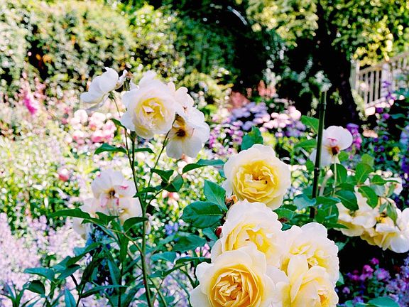 established gardens