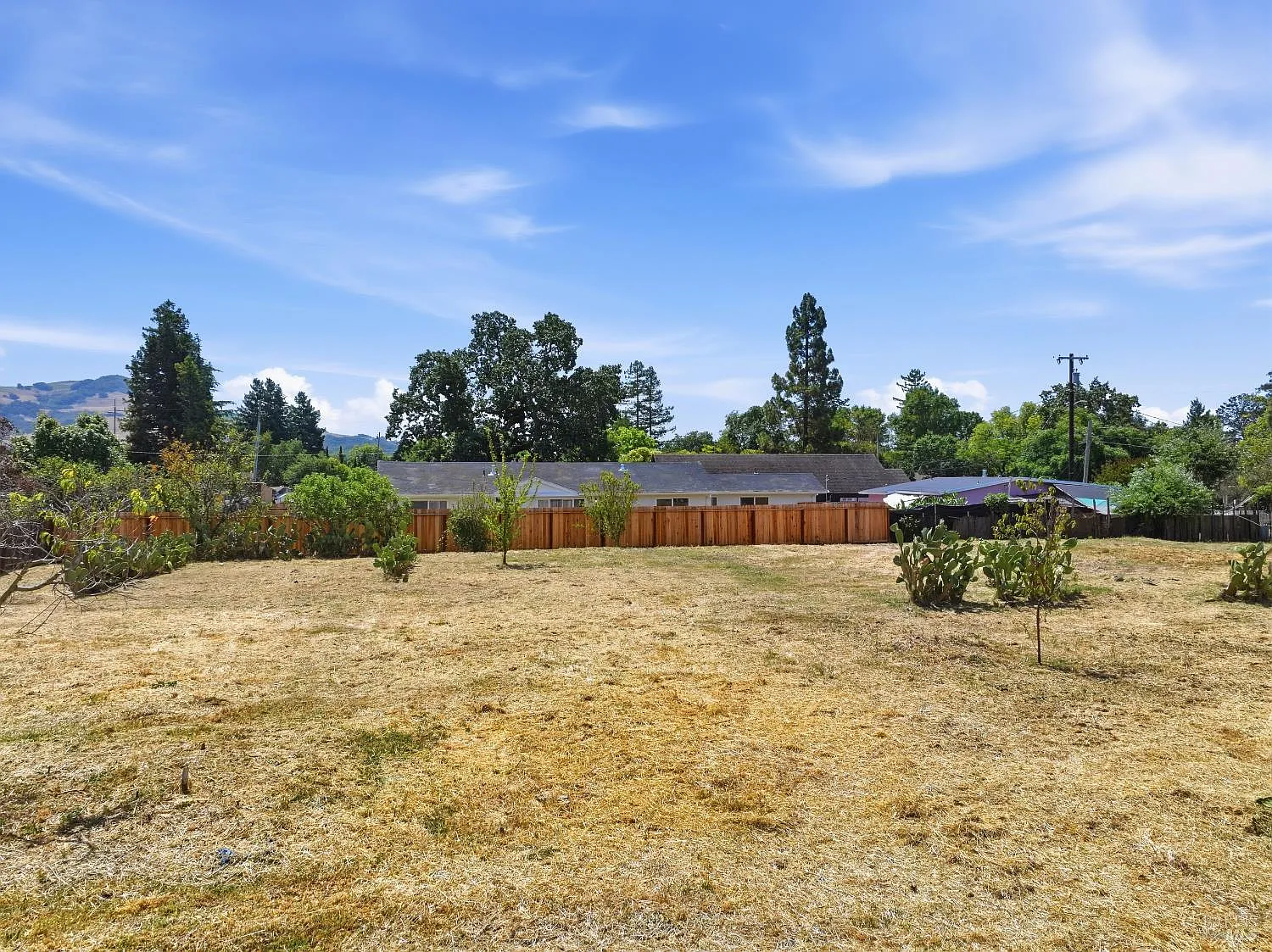 1306 Grand Avenue - Photo 3