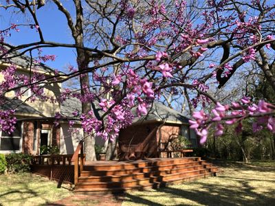 298 Comanche Moon Trl, Decatur, TX, 76234