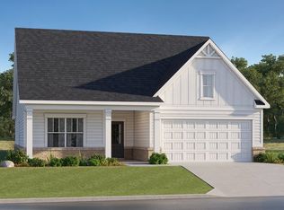 Briarwood Plan, Twelve Parks 55+, Sharpsburg, GA 30277