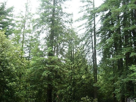 4th image of 17583 Woods Ave