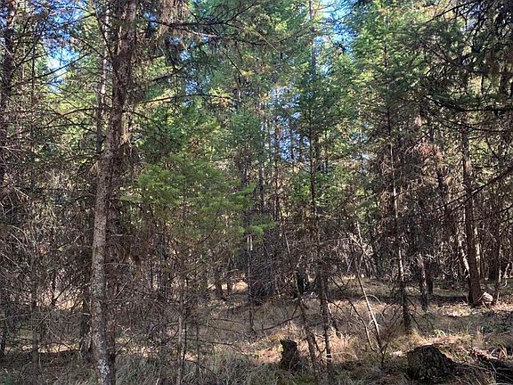 3rd image of LOT 1 Moonshine Mountain Trl