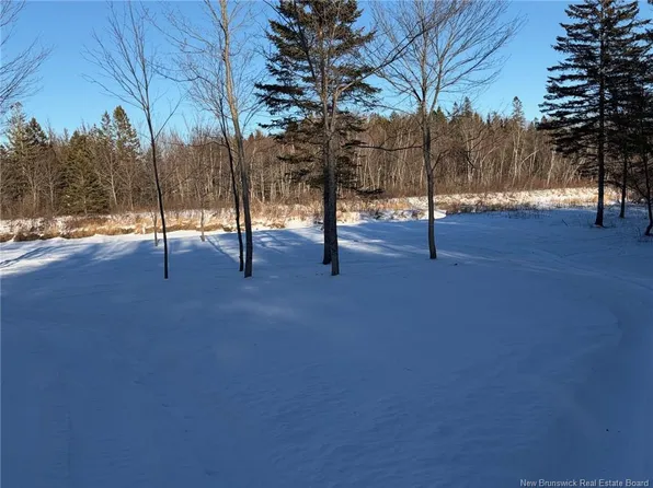 2 Reardon Rd #0, Saint Patrick, NB E5A 0B6