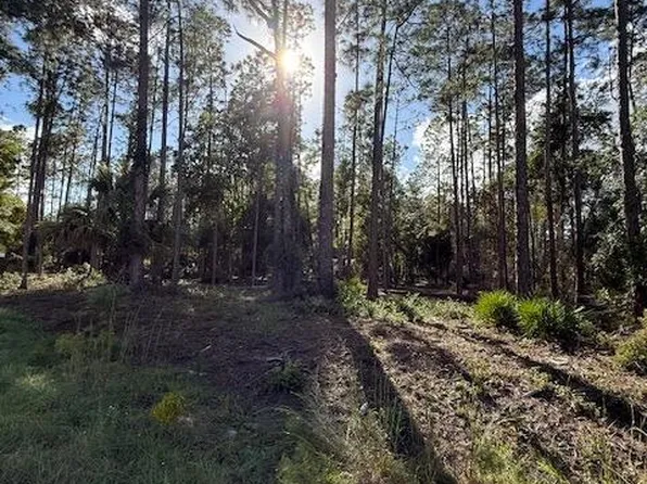 215 Hideaway Ln, Georgetown, FL 32139