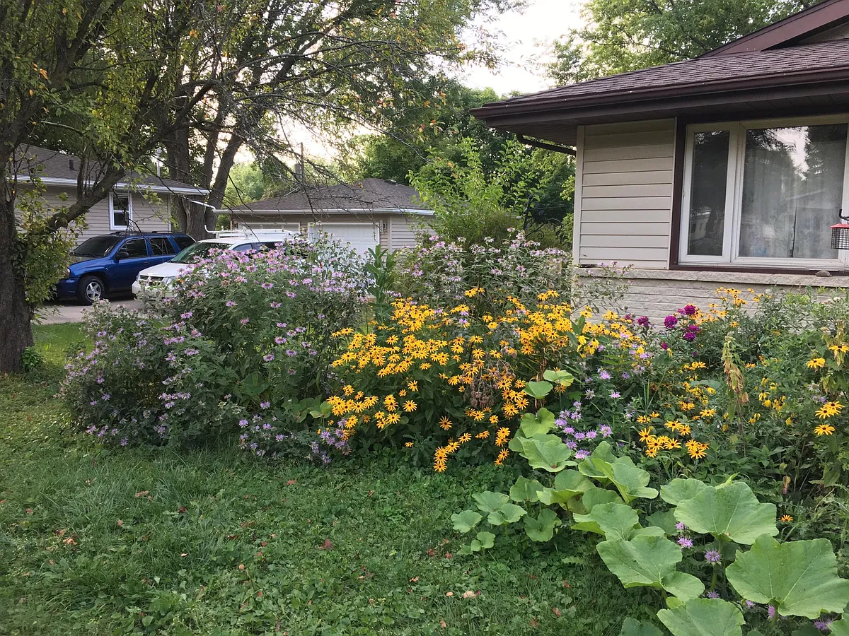 Native Plant Garden - 4718 Leo Dr