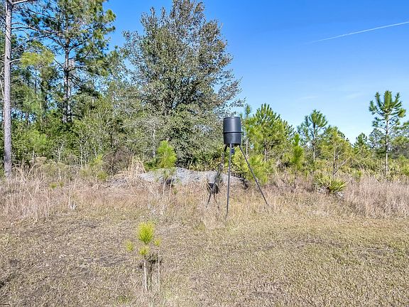 5th image of 3734 Long Leaf Dr