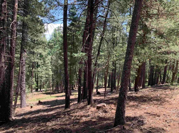 7 Timber Wolf #1, Mayhill, NM 88339