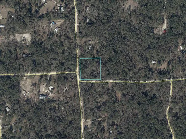 NE 312th Ave Lot 18, Old Town, FL 32680