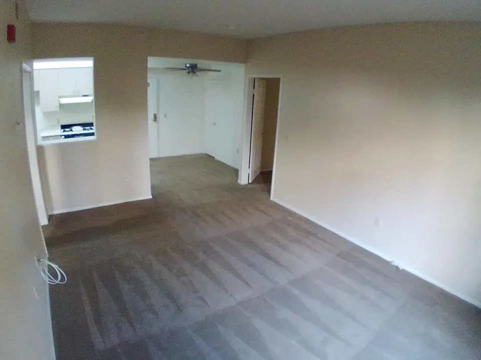 Living Room (view from windows wall)