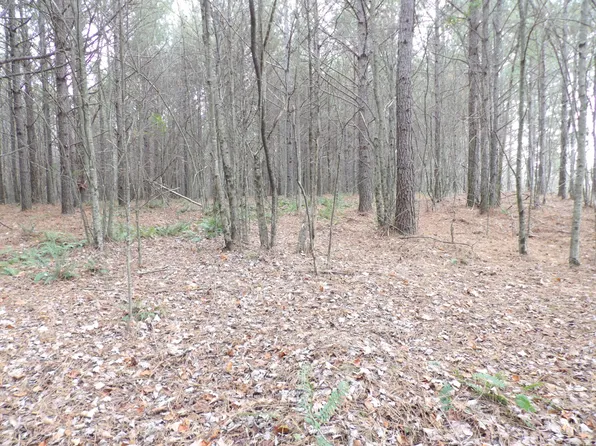 20 Summer City Rd, Evensville, TN 37332