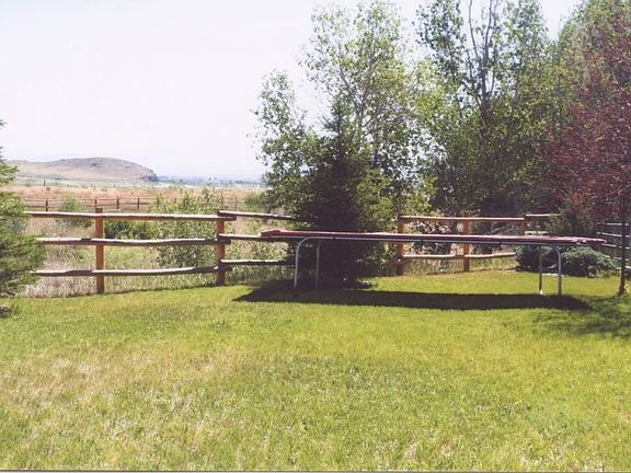 Back yard