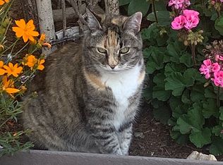 2020 Whitecliff Dr, Reno, NV 89521