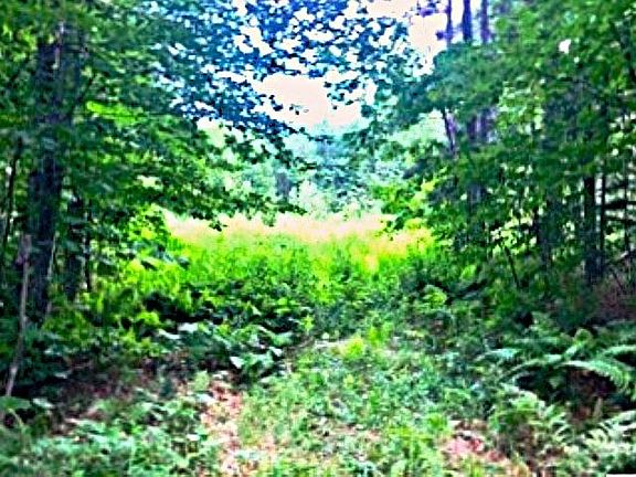 3rd image of 540 Shampeny Hill Road