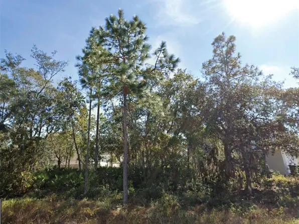 1626 PILCHARD COURT LOT 8, POINCIANA, FL 34759
