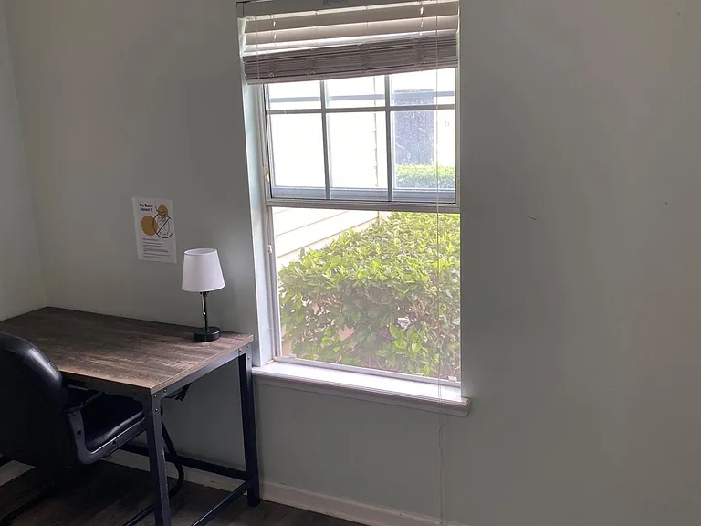 Window view